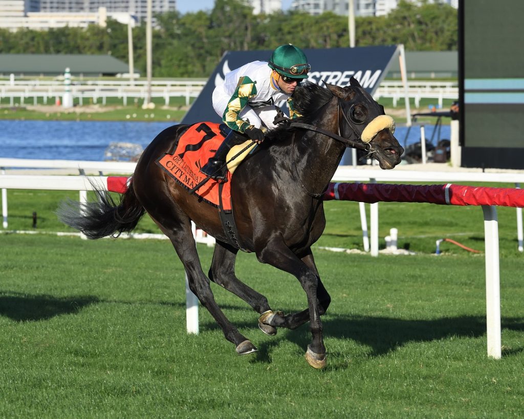 City Man Lució Indetenible En La Grama De Gulfstream Park Y Ganó El Ft ...