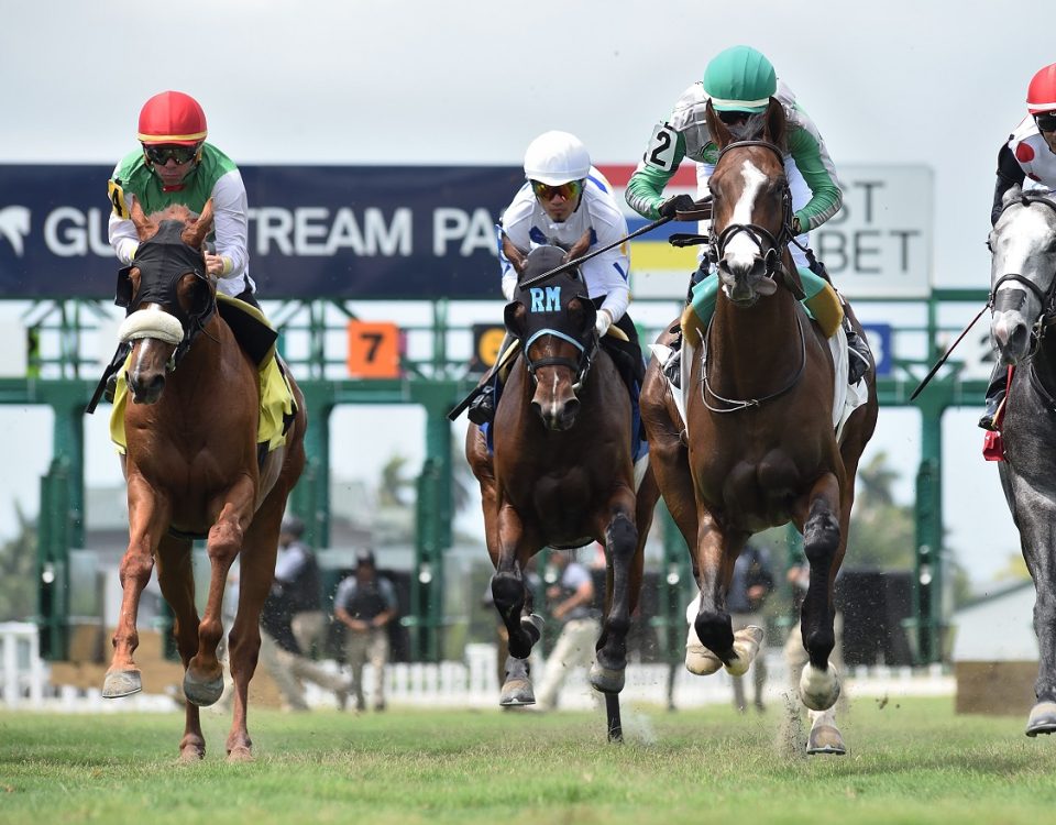 Gulfstream Park - Action - Ryan Thompson