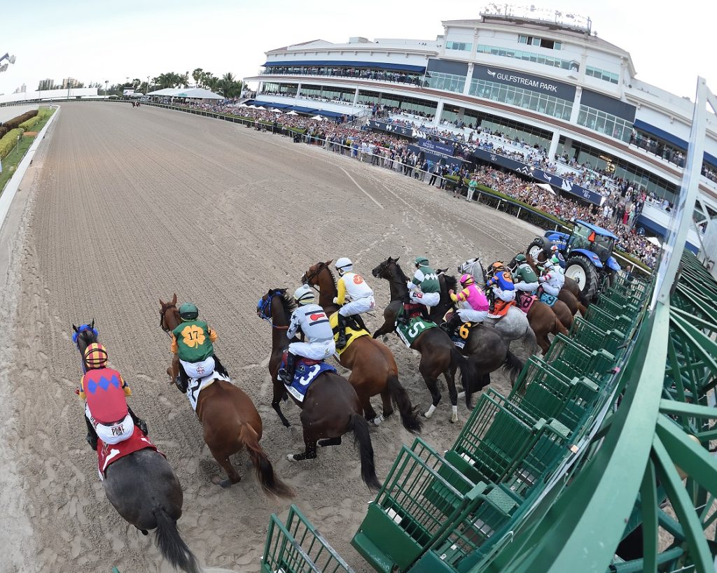 Gulfstream Park - Start - Coglianese Photo