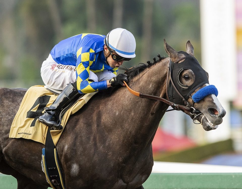 Reincarnate - Sham Stakes - Benoit Photo