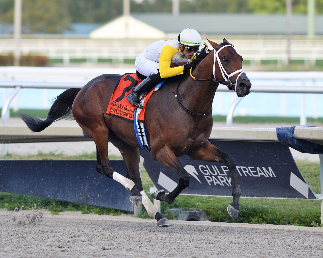 Este viernes se disputa el millonario Charles Town Classic G2 DRF en Español