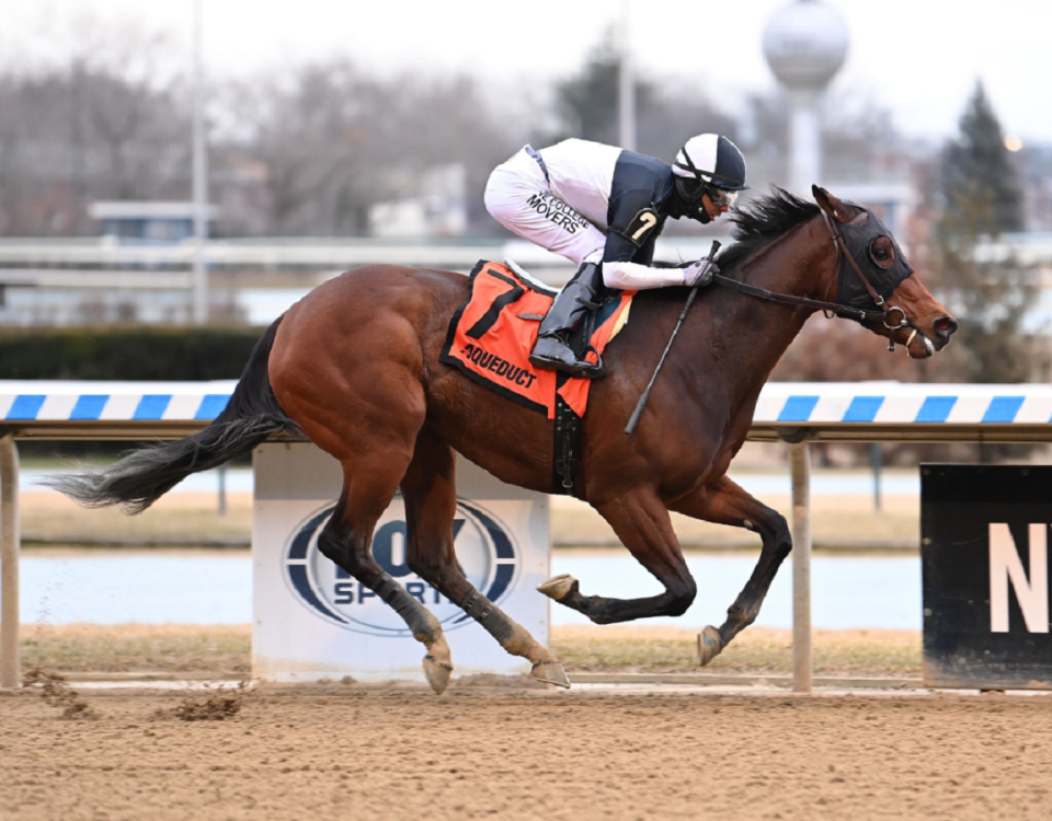 Stonewall Star - Franklin Square S. - Coglianese Photo