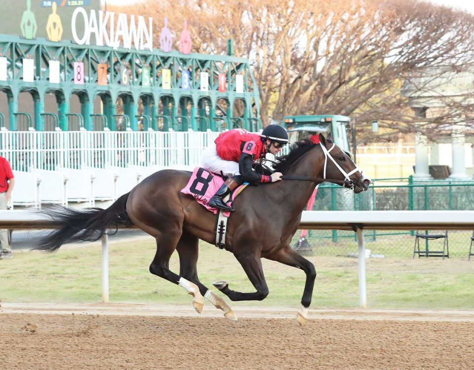 Victory Formation - Smarty Jones S. - Coady Photography