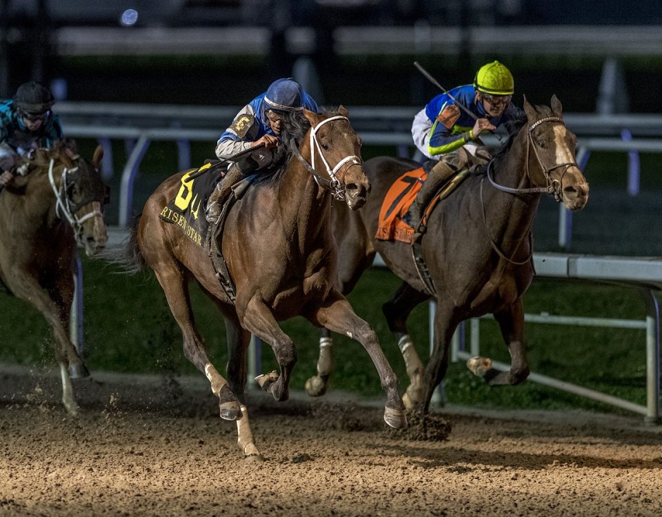 Angel Of Empire - Risen Star S. - Jamie Newell-Hodges Photography