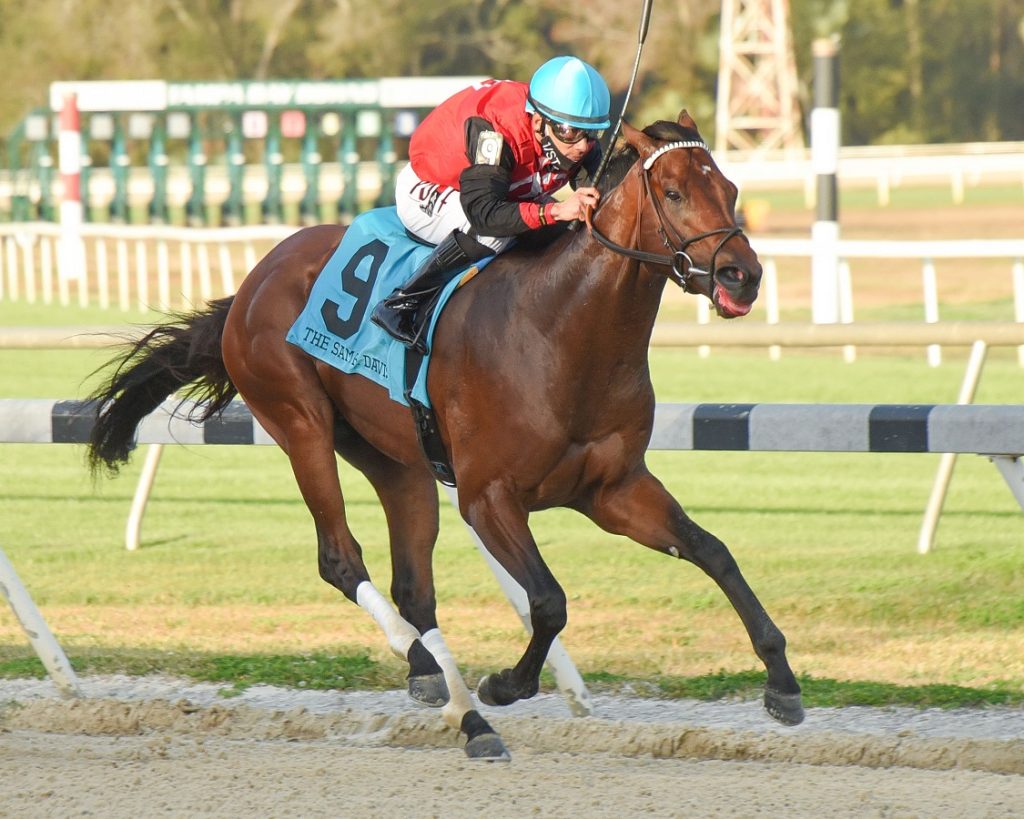 Candy Man Rocket - Sam F. Davis S. - SV Photography