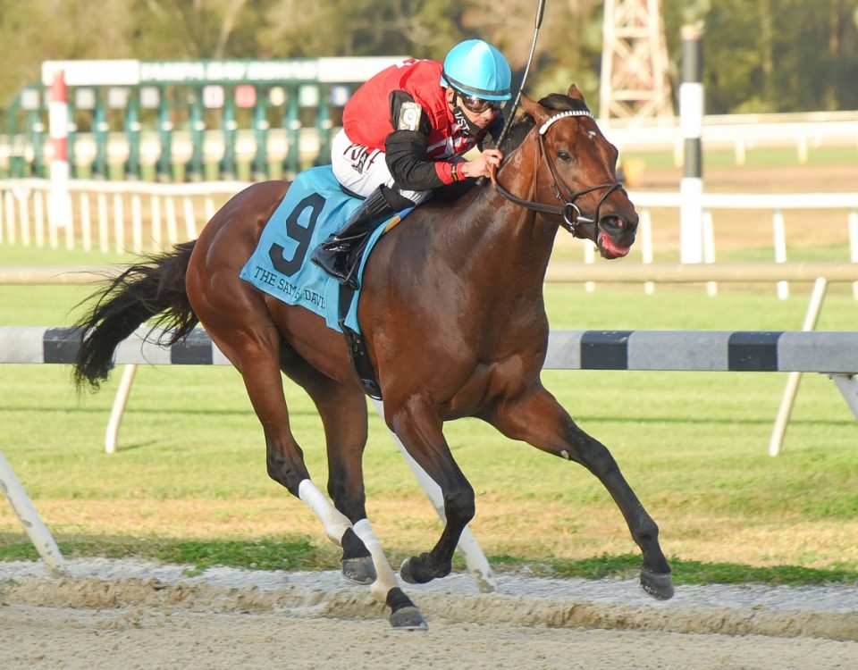 Candy Man Rocket - Sam F. Davis S. - SV Photography
