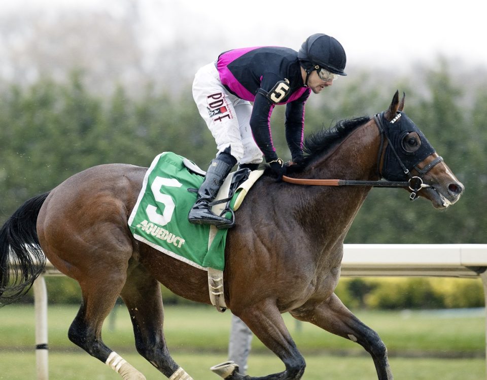 Classic Legacy - Aqueduct - Barbara D. Livingston