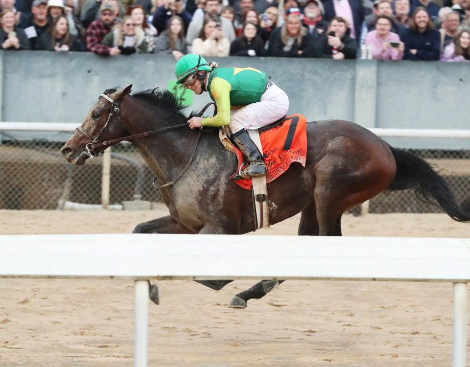 Confidence Game - Rebel Stakes - Coady Photography