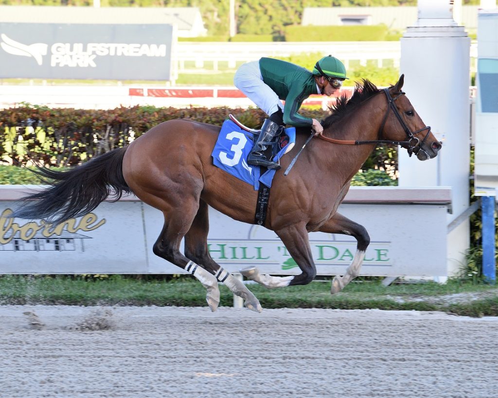 Cyclone Mischief - Gulfstream Park - Lauren King