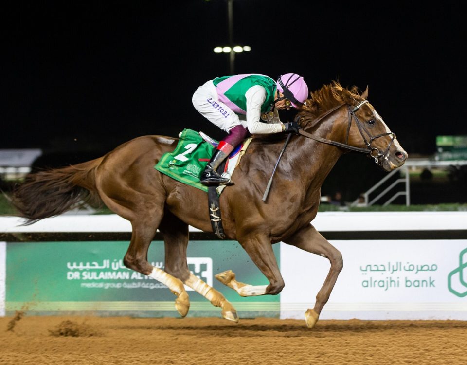 Elite Power - Riyadh Dirt Sprint - Jockey Club of Saudi Arabia - Erika Rasmussen
