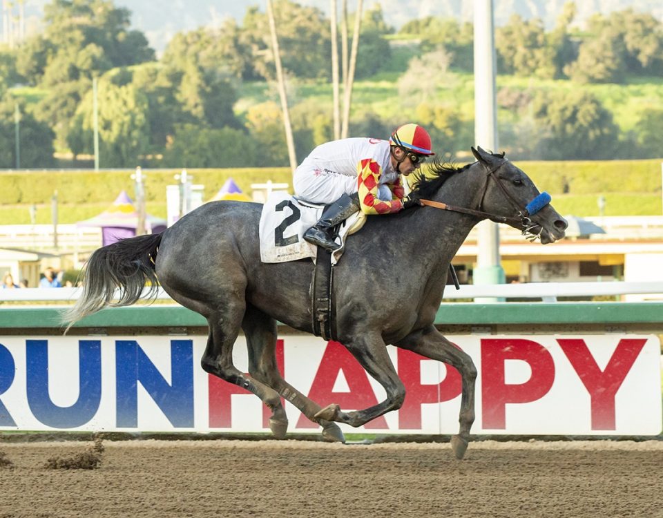 Fun to Dream - Santa Monica S. - Benoit Photo