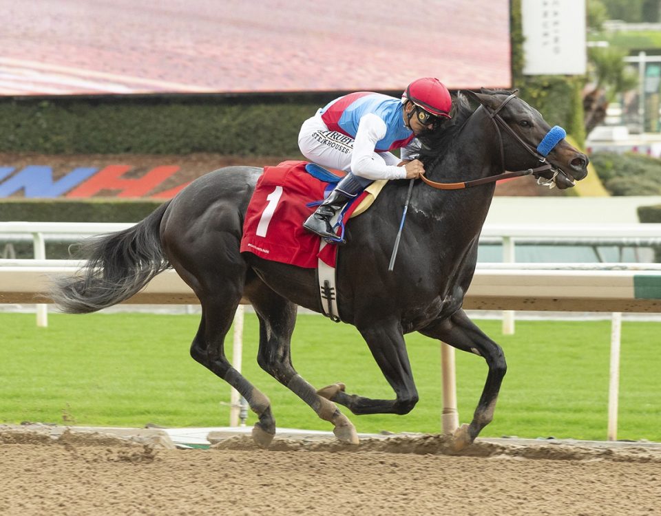 Hejazi - Santa Anita Park - Benoit Photo