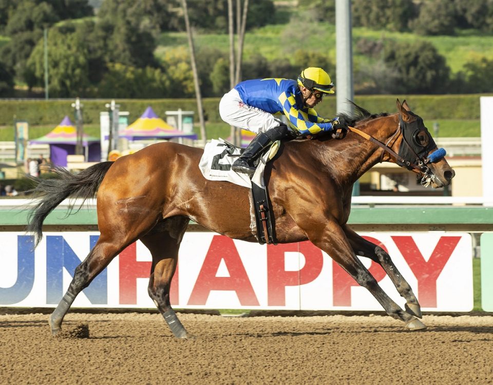 Hopkins - Palos Verdes S. - Benoit Photo