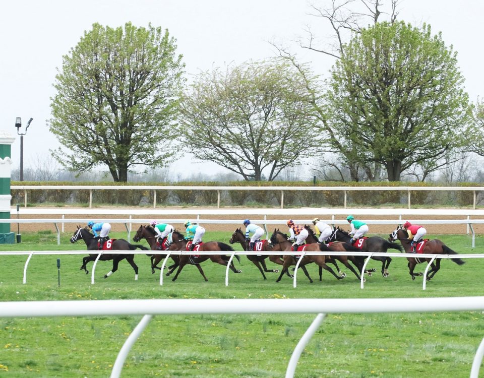 Keeneland - Spring Meet - Coady Photography