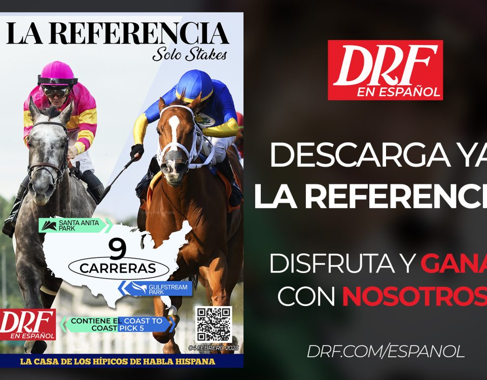 La Referencia - Solo Stakes - Febrero 4