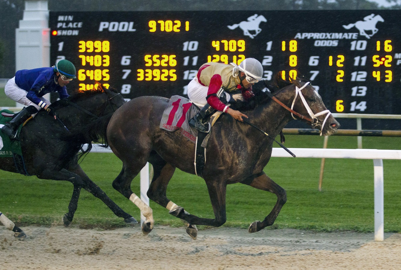 Litigate se impuso en el Sam F. Davis Stakes G3 y obtuvo 20 puntos en