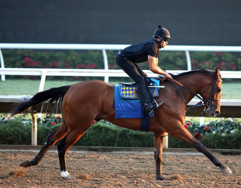 Newgate - Santa Anita Park - Emily Shields