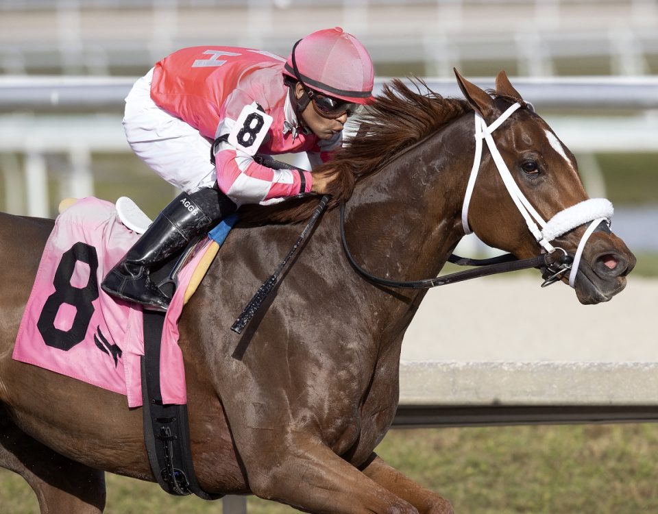 Pass the Champagne - Gulfstream Park - Barbara D. Livingston