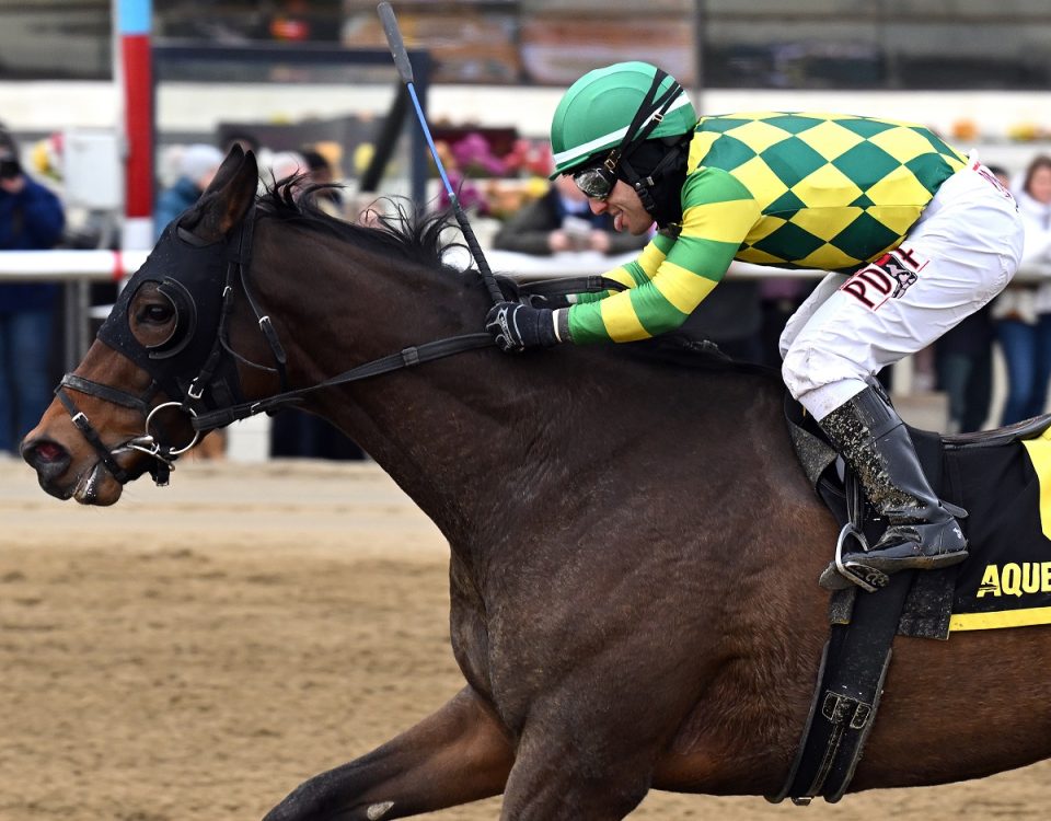 Repo Rocks the Toboggan credit Joe Labozzetta - Coglianese Photo