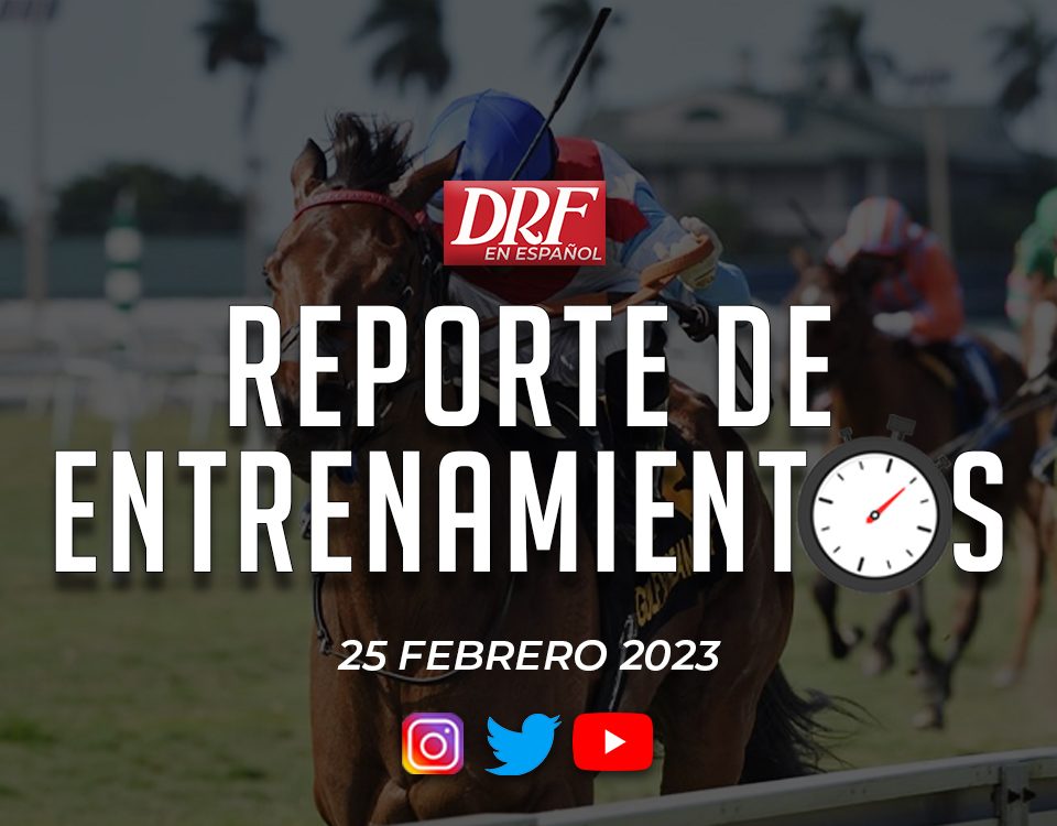 Reporte de Entrenaminetos - Febrero 25