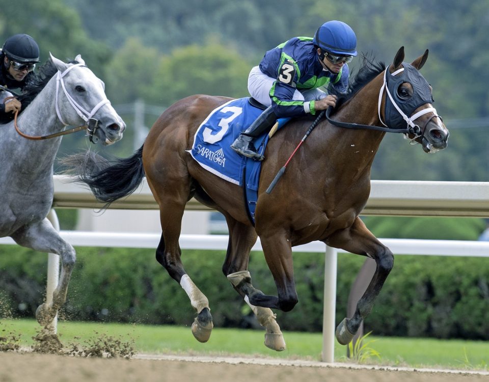Verifying - Saratoga - Barbara D. Livingston