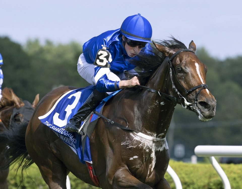 With The Moonlight - Saratoga Oaks - Barbara D. Livingston