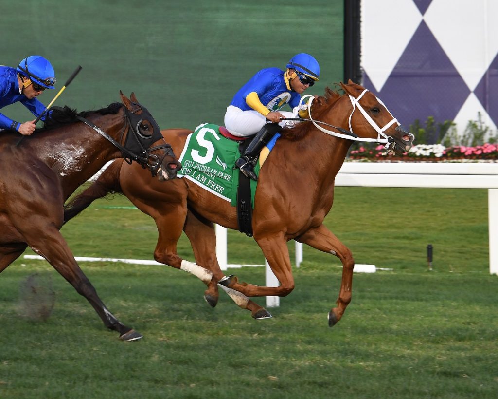 Yes I Am Free - GP Turf Sprint - Lauren King
