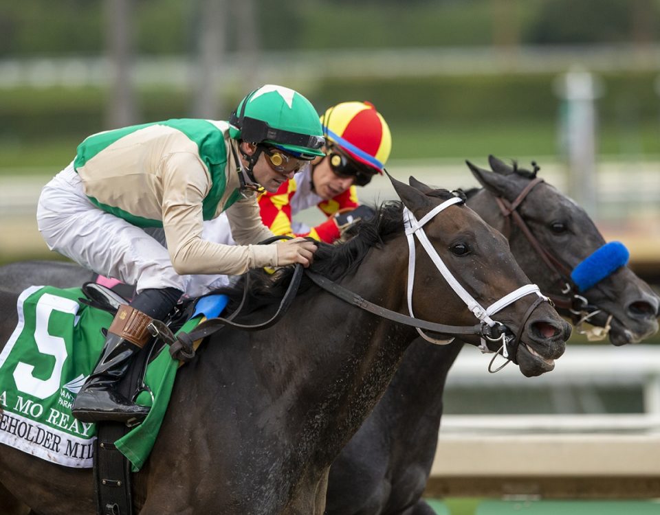 A Mo Reay - Beholder Mile - Benoit Photo