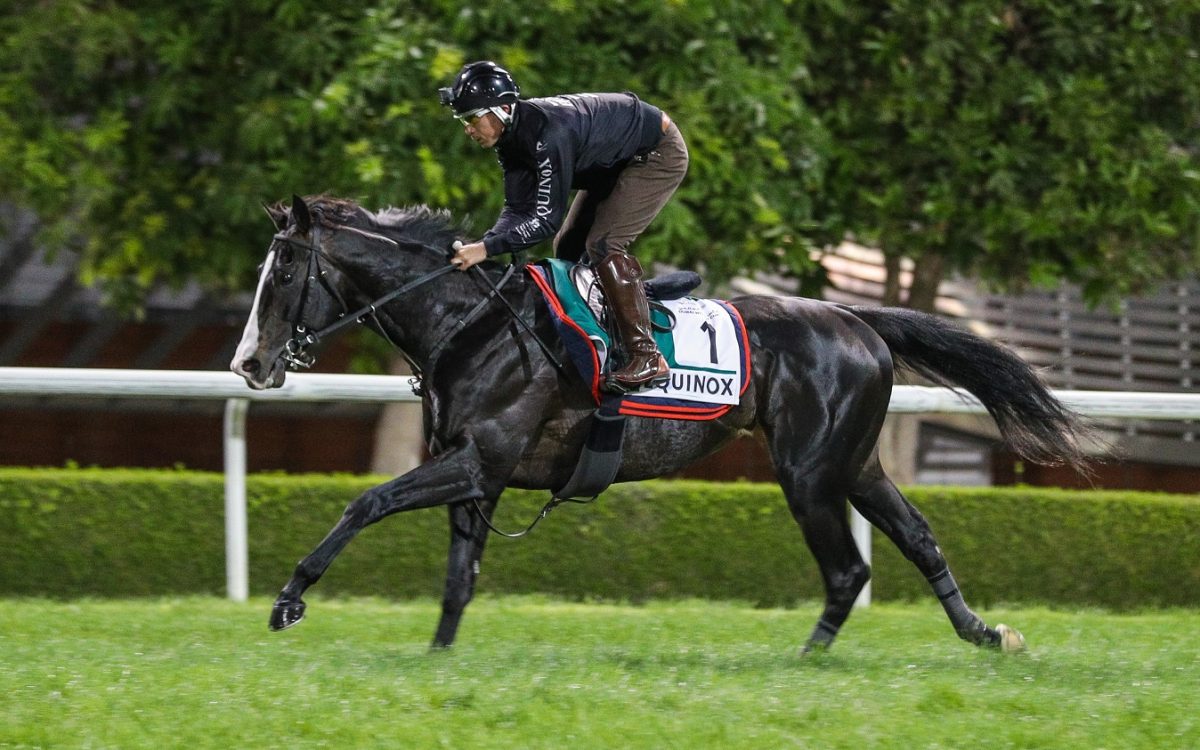 Equinox - Meydan - Cedric Lane-Dubai Racing Club