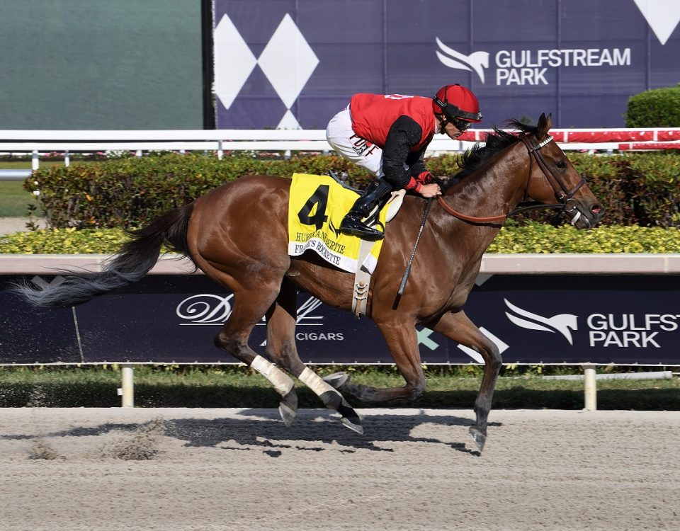 Franks Rockette - Hurricane Bertie S. - Lauren King