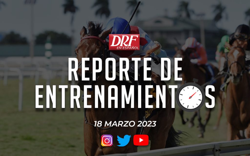 Reporte de Entrenamientos - Marzo 18