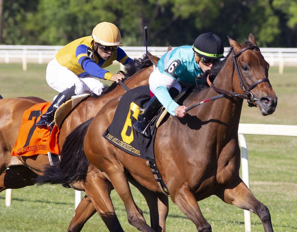 Shantisara - Hillsborough S. - Tom Keyser