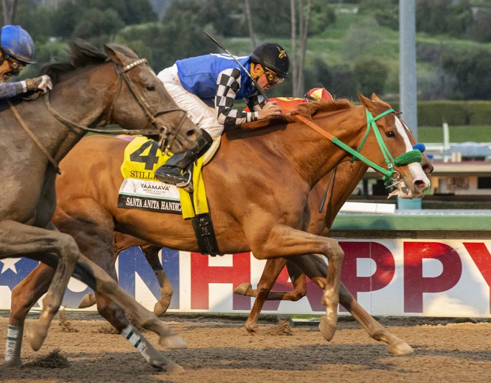 Stilleto Boy - Santa Anita H. - Benoit Photo