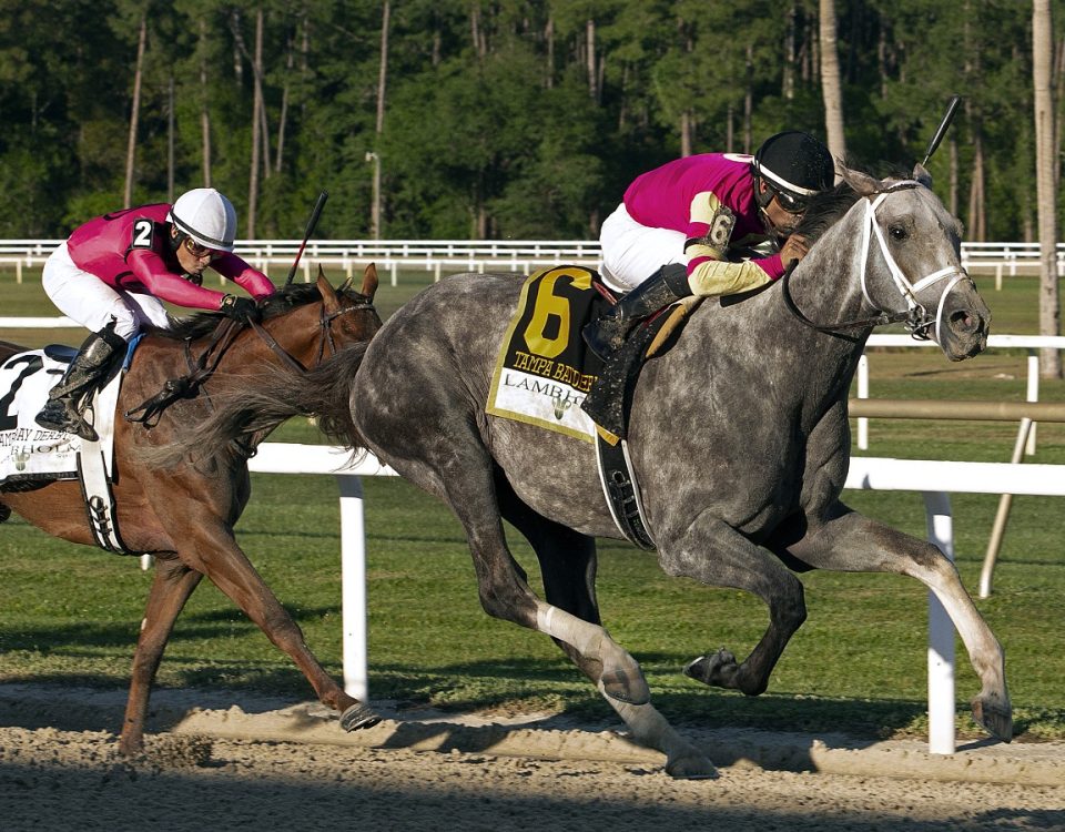 Tapit Trice - Tampa Bay Derby - Tom Keyser