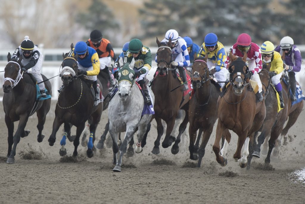 Woodbine - Michael Burns