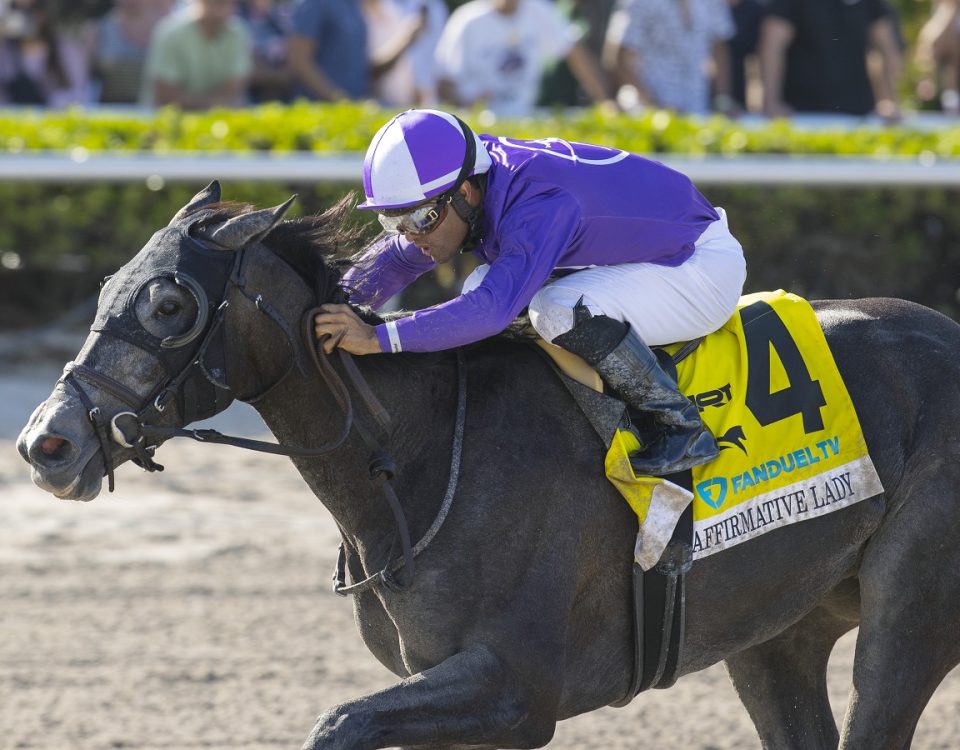 Affirmative Lady - Gulfstream Park Oaks - Barbara D. Livingston