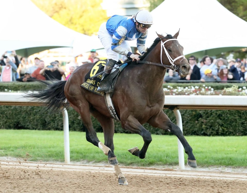 Angel of Empire - Arkansas Derby - Coady Photography