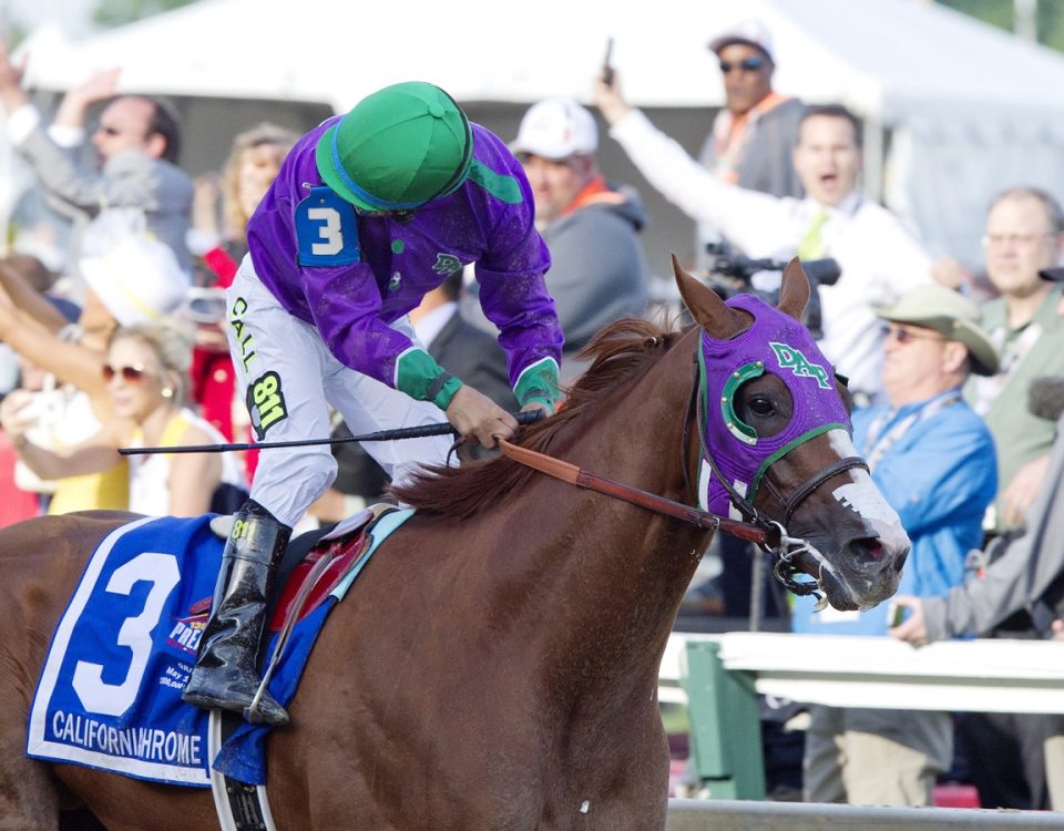 California Chrome - Preakness S. - Barbara D. Livingston