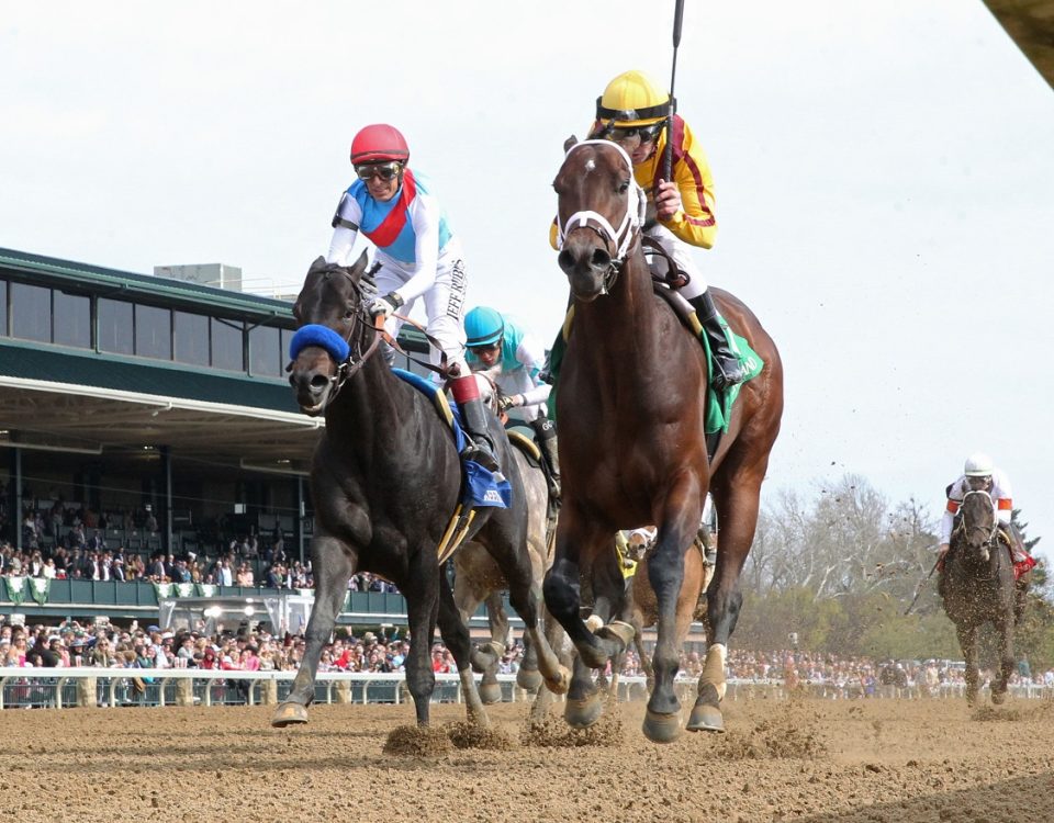 Corona Bolt - Lafayette S. - Coady Photography