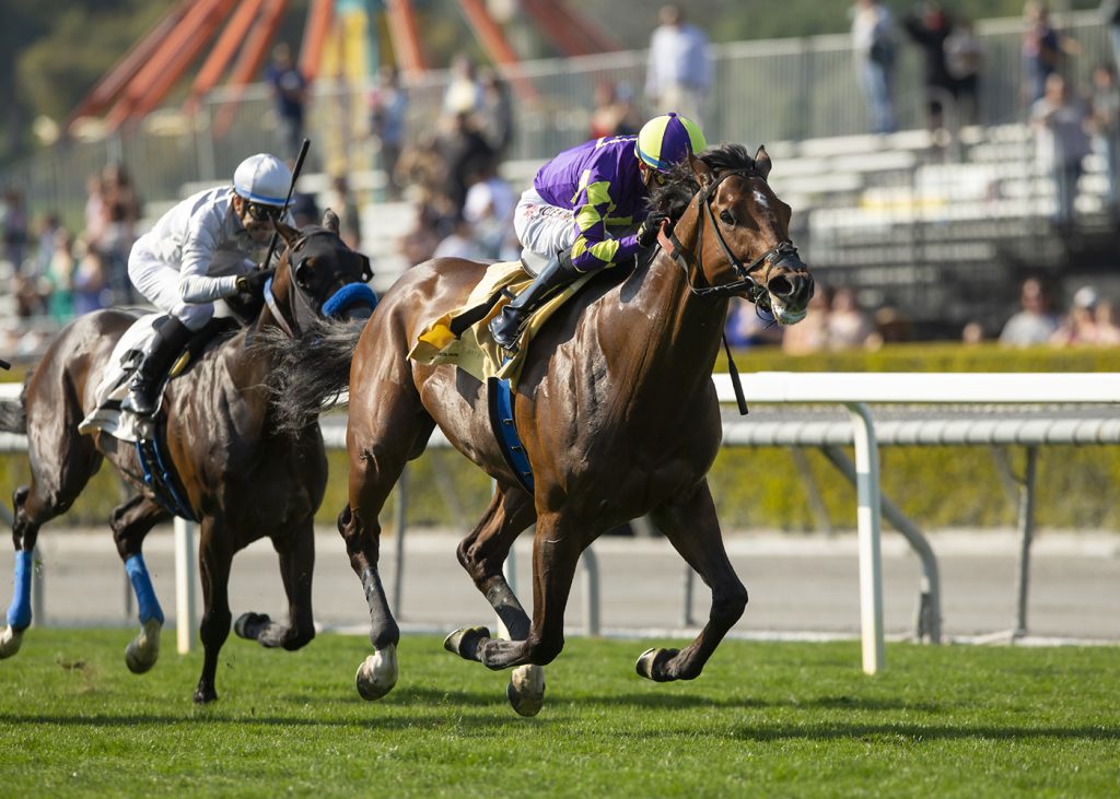 Exaulted - Ammerican Stakes G3 - Benoit Photo