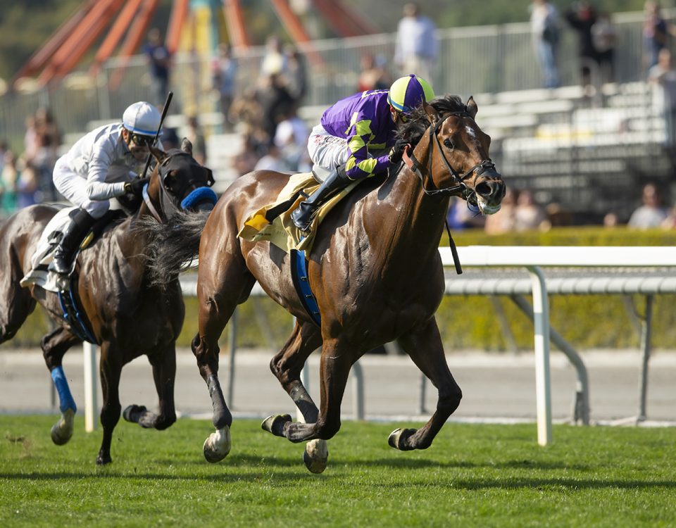 Exaulted - Ammerican Stakes G3 - Benoit Photo