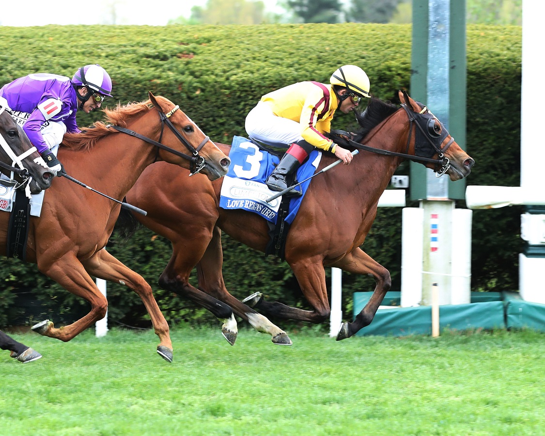 Love Reigns reinó en el Limestone Stakes DRF en Español