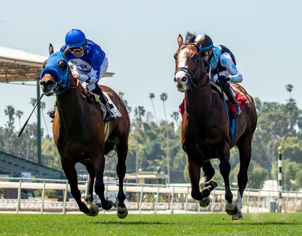 Whatmakessammyrun -Siren Lure S. - Benoit Photo
