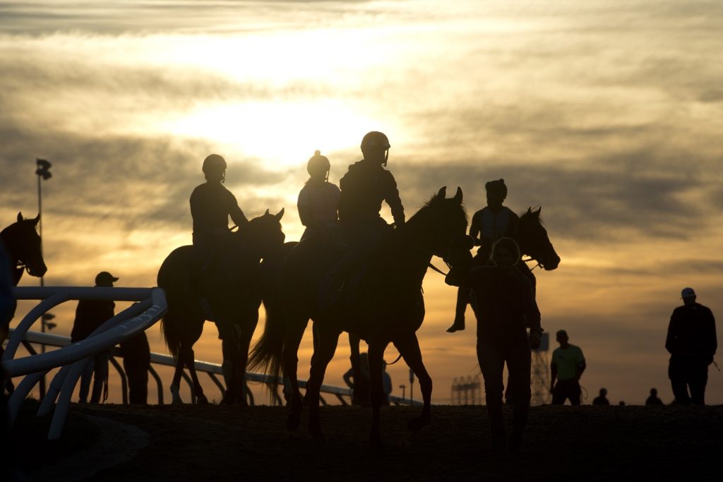 Woodbine mornings - Michael Burns photo