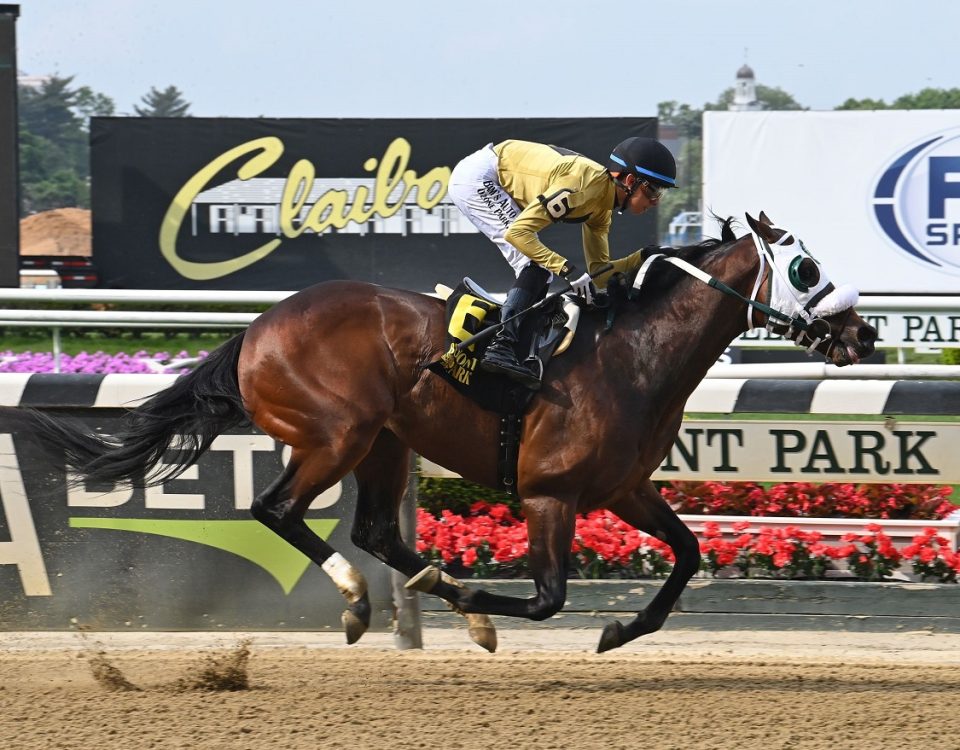 Drew's Gold - Gold Fever S. - Coglianese Photo