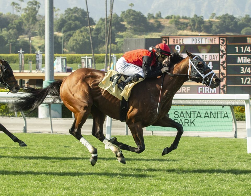 Offlee Naughty - San Luis Rey S. - Benoit Photo