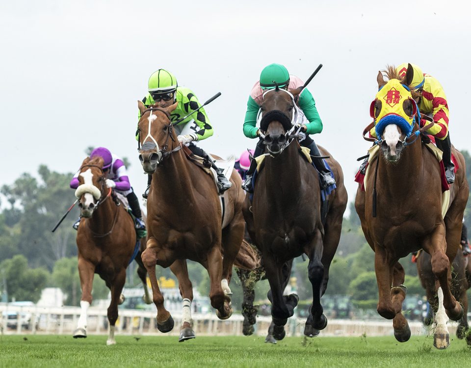 Old Pal - Snow Chief Stakes - Santa Anita Park - Benoit Photo