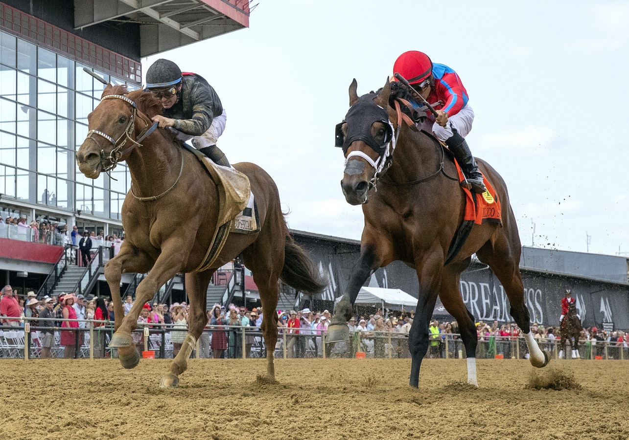 Rattle N Roll en la sentencia se lleva el Pimlico Special G3 DRF en