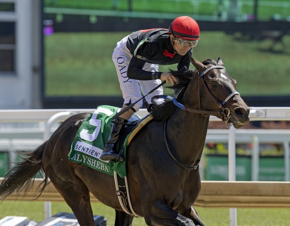 Smile-Happy-Alysheba-Stakes-G2-Beyer-110-Barbara-Livingston-DRF