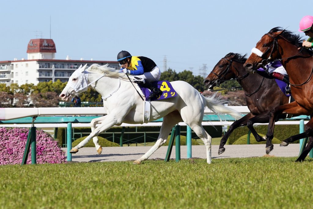Sodashi - Oka Sho Stakes - Japan Racing Association